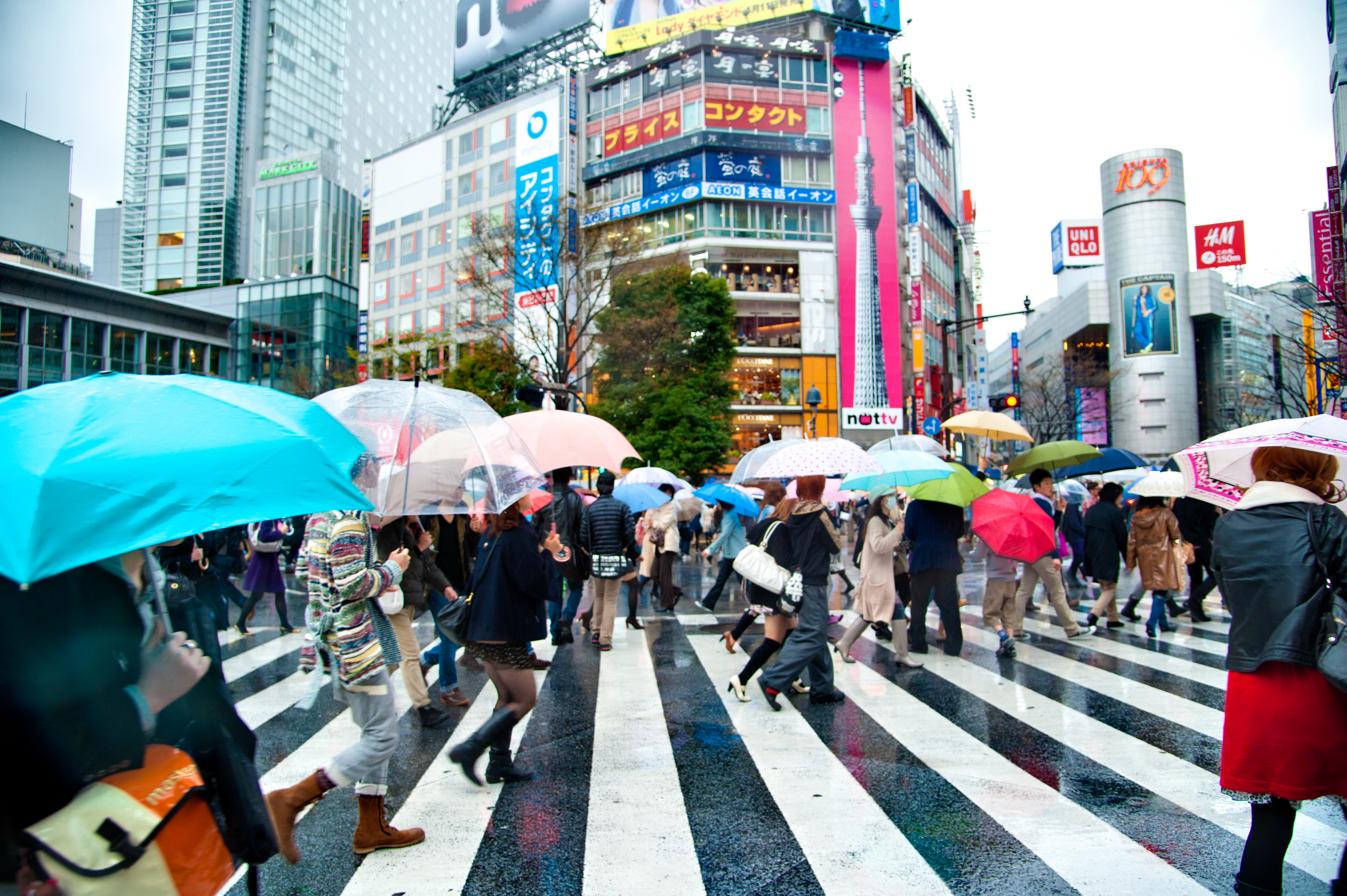 people crossing street in the rain
