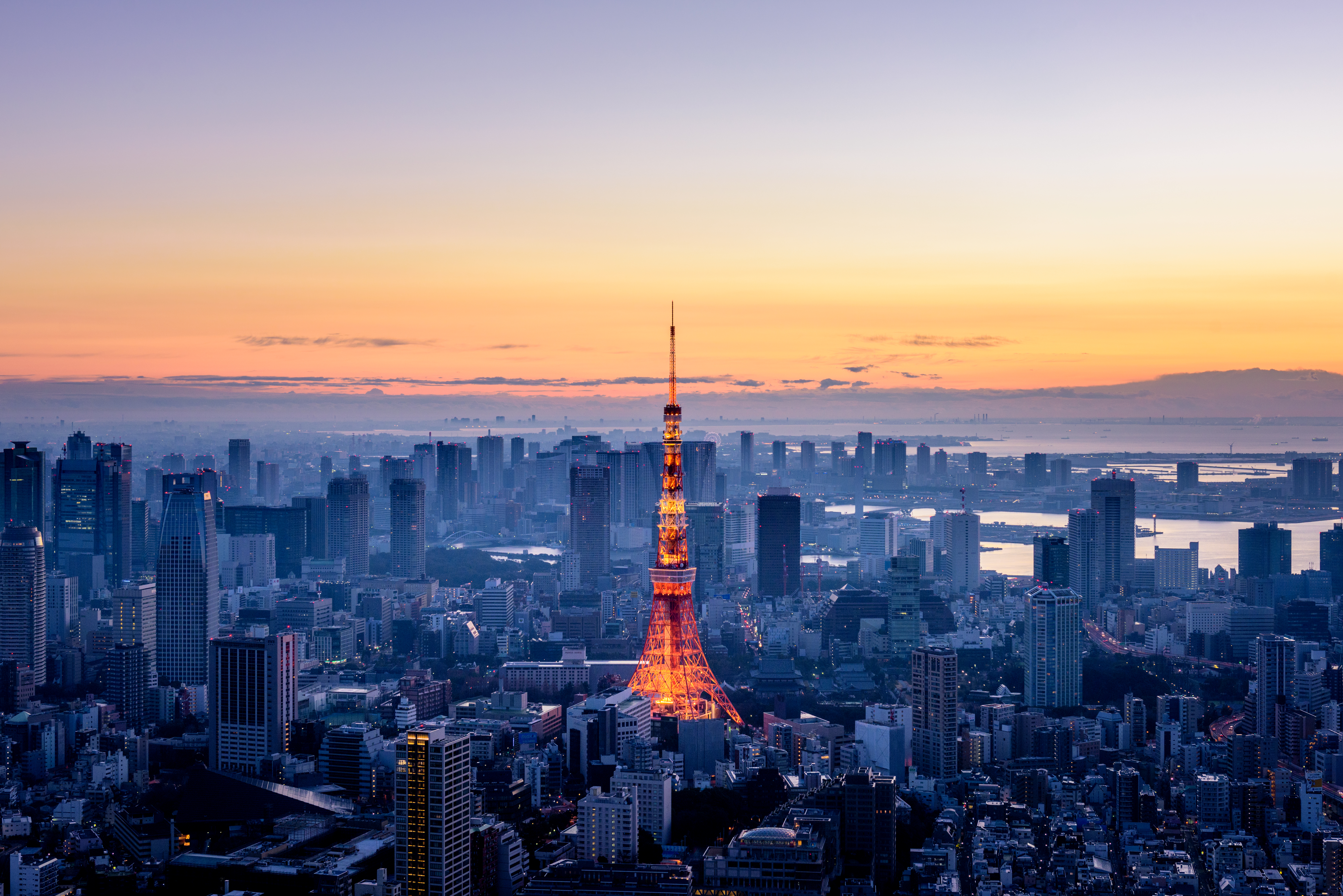 Tokyo skyline at dusk