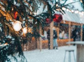 snow scene 