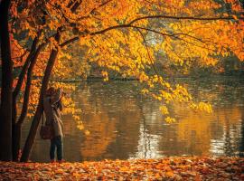 leaf-peeping