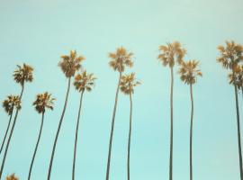 summer vacation
