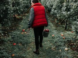 fall destinations U.S.