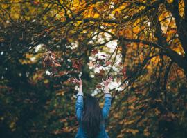 low stress Thanksgiving travel