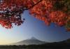 view of Mt Fuji with fall foliage